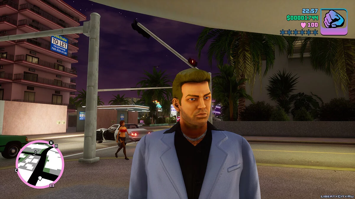 标准皮肤 Wild / GTA 维斯市:终极版