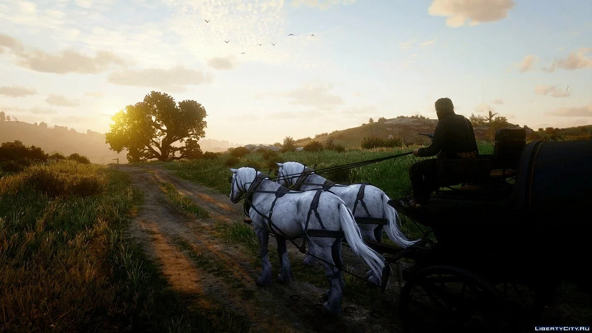 Photo-Realism | Reshade Settings / Red Dead Redemption 2