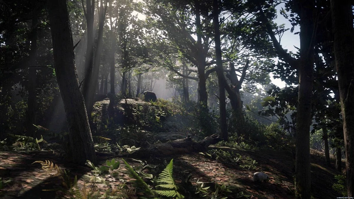 Photo-Realism | Reshade Settings / Red Dead Redemption 2