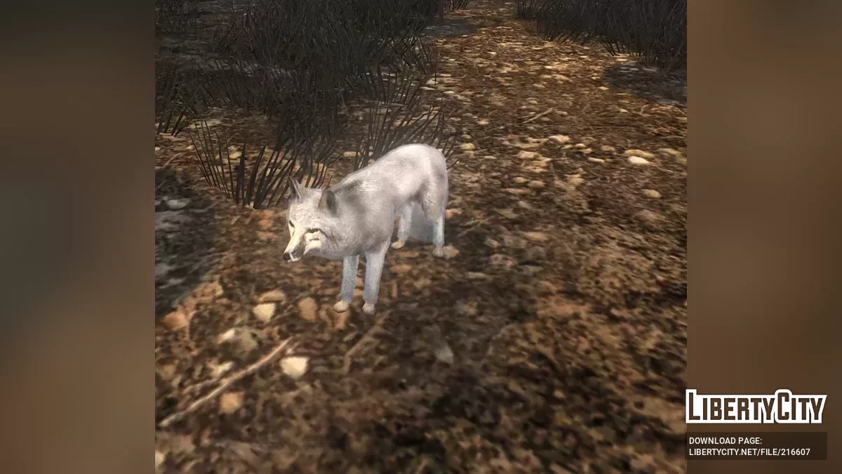 Nuevos tipos de animales salvajes / Red Dead Redemption