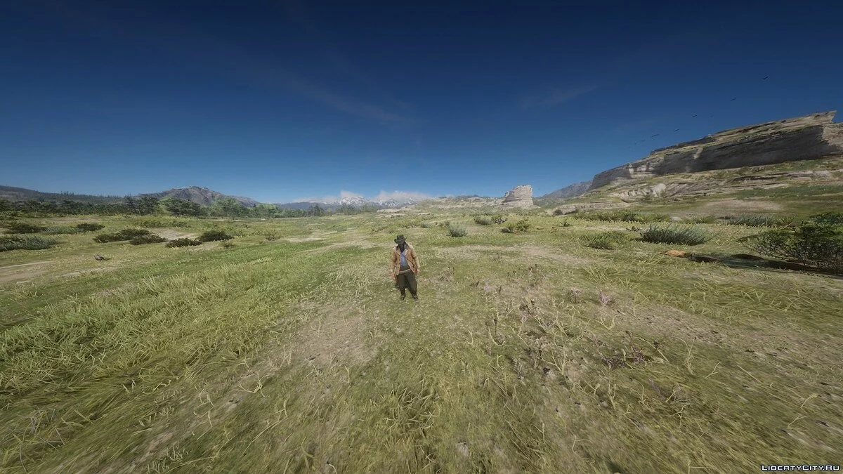 Регулятор FOV / Red Dead Redemption 2