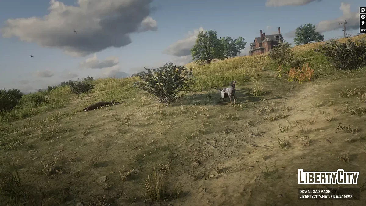 Собака-компаньон / Red Dead Redemption 2