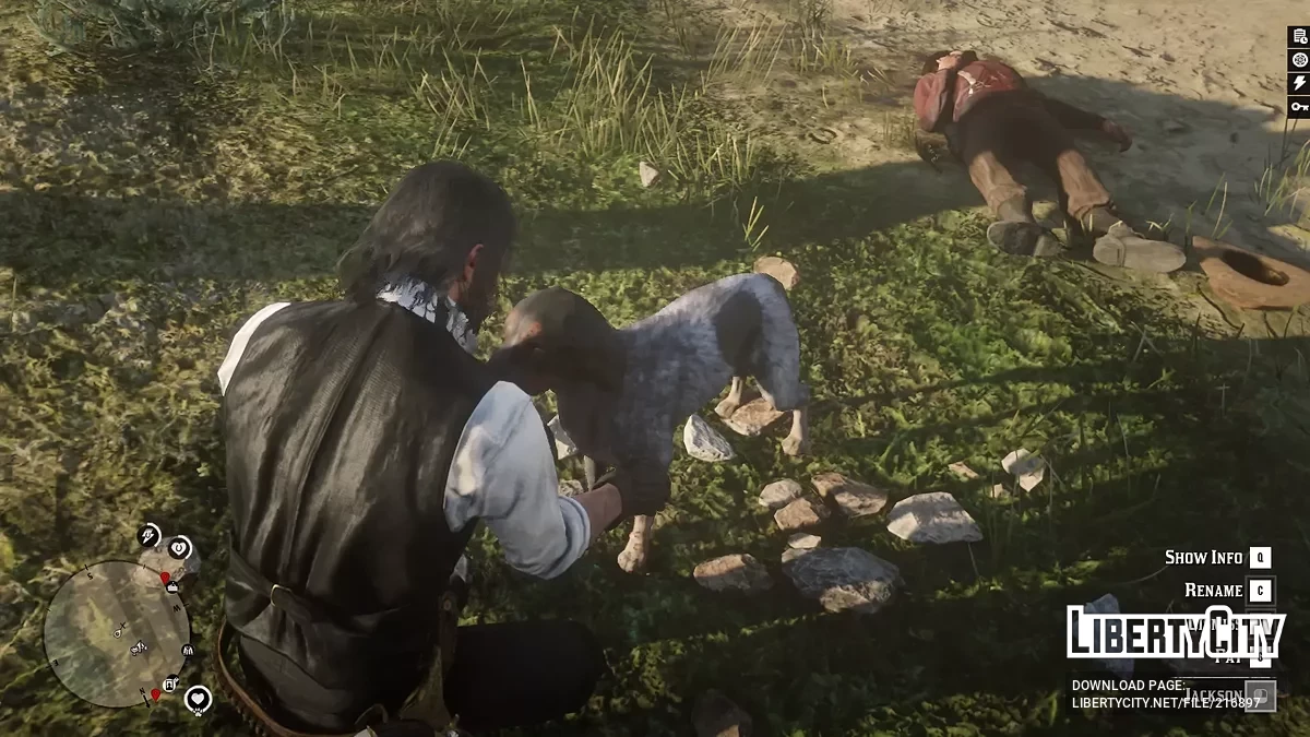 Собака-компаньон / Red Dead Redemption 2