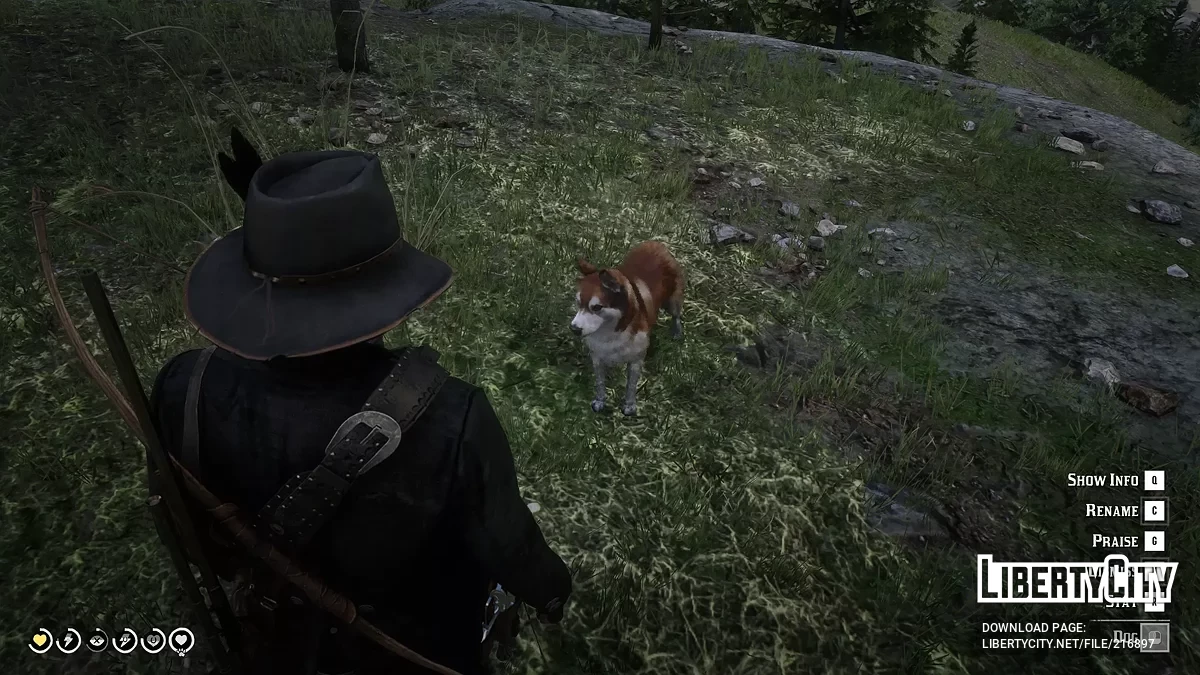 Собака-компаньон / Red Dead Redemption 2