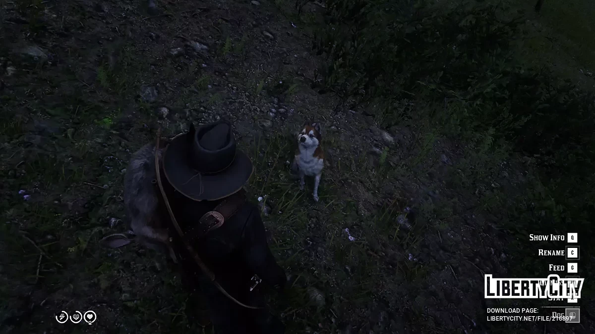 Собака-компаньон / Red Dead Redemption 2