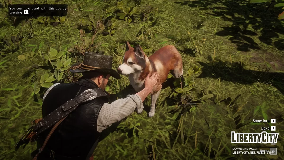 Собака-компаньон / Red Dead Redemption 2