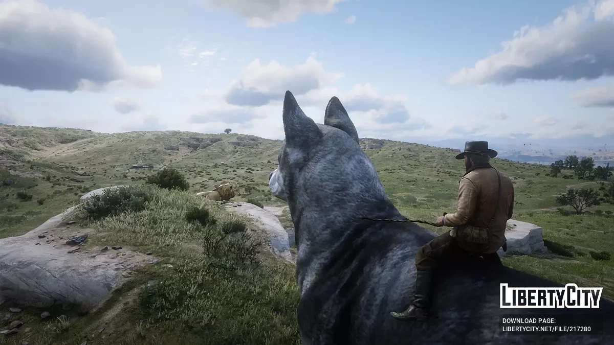 Pig Rider v2 / Red Dead Redemption 2