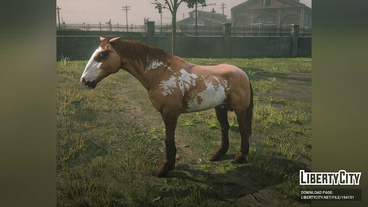 在线土库曼马 / 荒野大镖客:救赎2