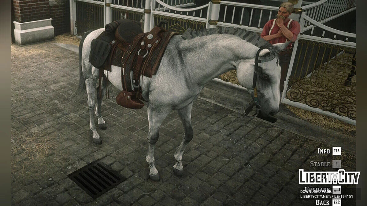 在线土库曼马 / 荒野大镖客:救赎2