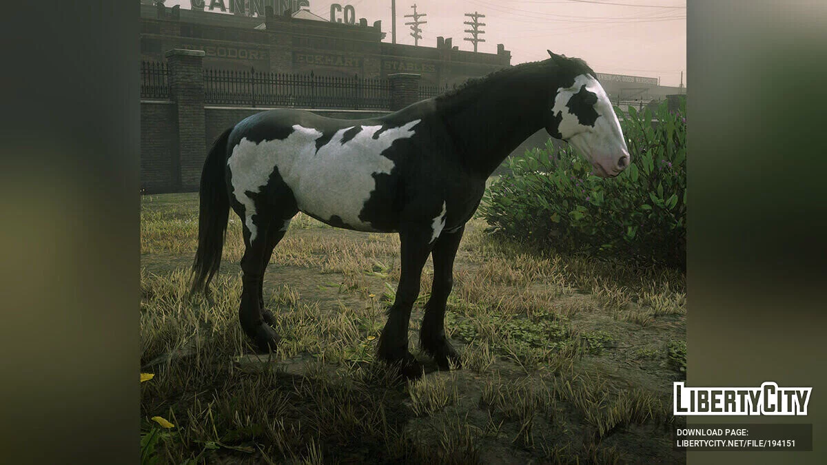 在线土库曼马 / 荒野大镖客:救赎2