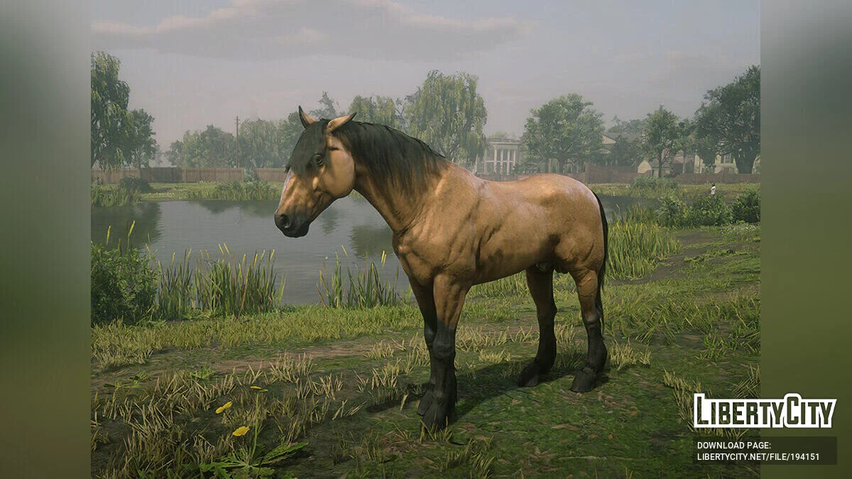 在线土库曼马 / 荒野大镖客:救赎2