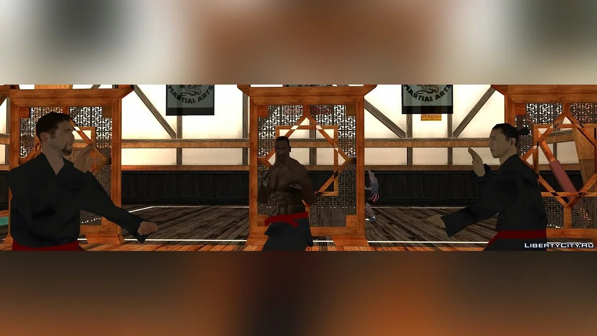 CJ - Martial Artist / GTA San Andreas