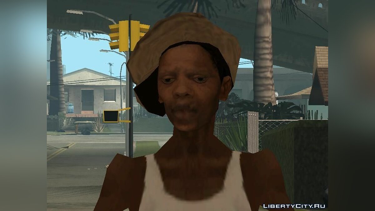 Скины Для GTA San Andreas От Werffgdls; (13 Скинов)