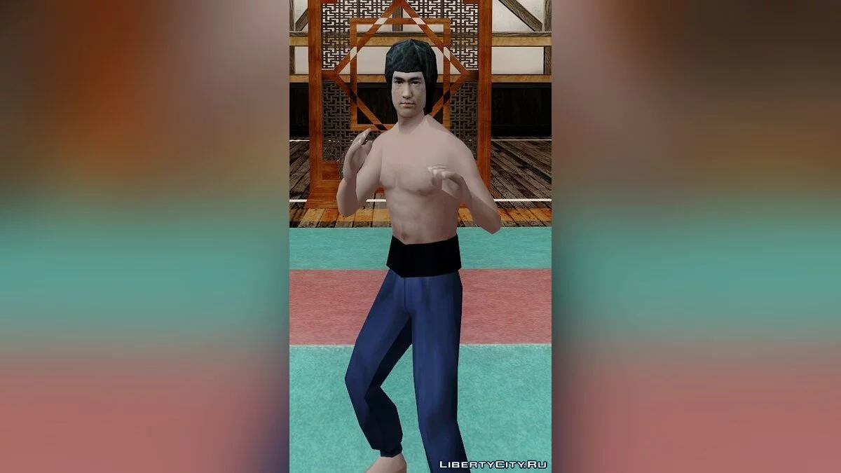 Bruce Lee / GTA San Andreas