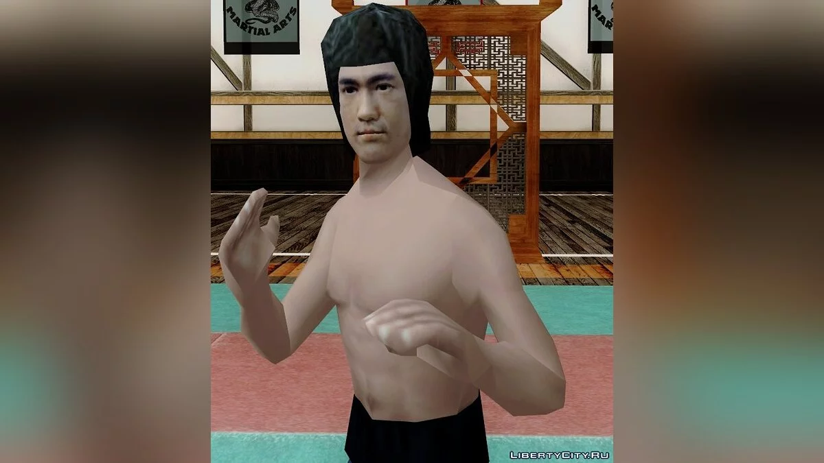 Bruce Lee / GTA San Andreas