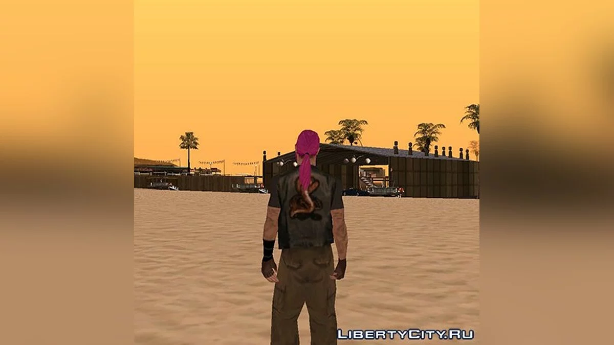 Wmycr (Biker) with Pink Hair / GTA San Andreas