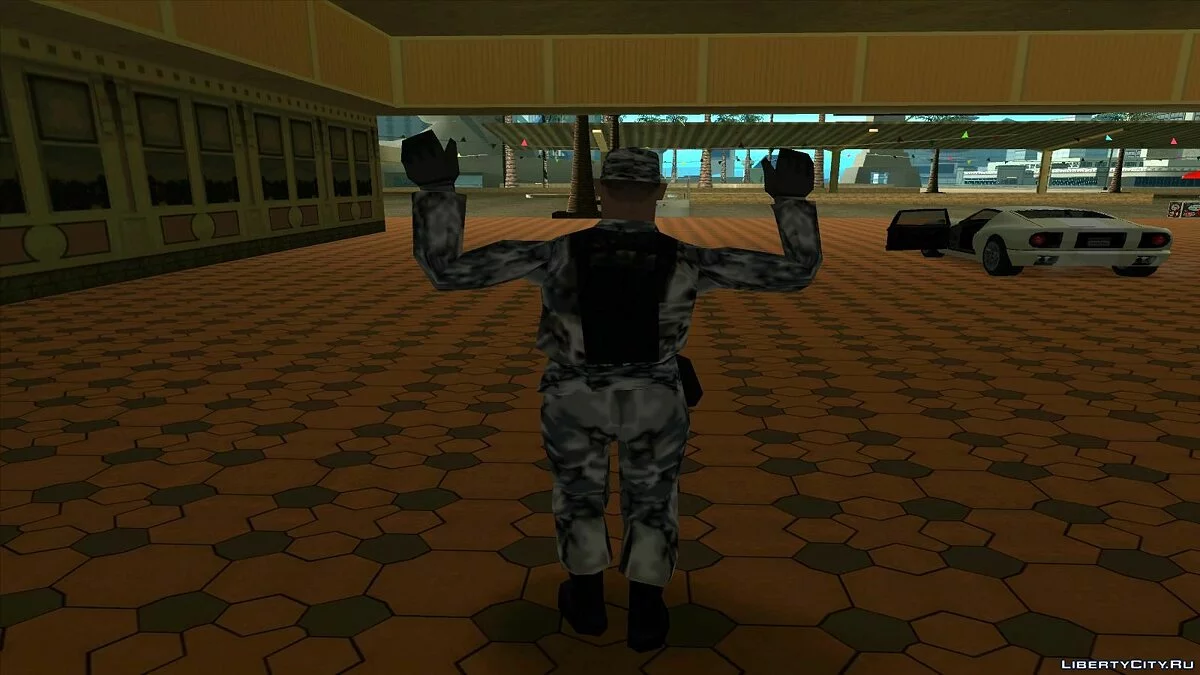 Зимовий армійський камуфляж. / GTA San Andreas