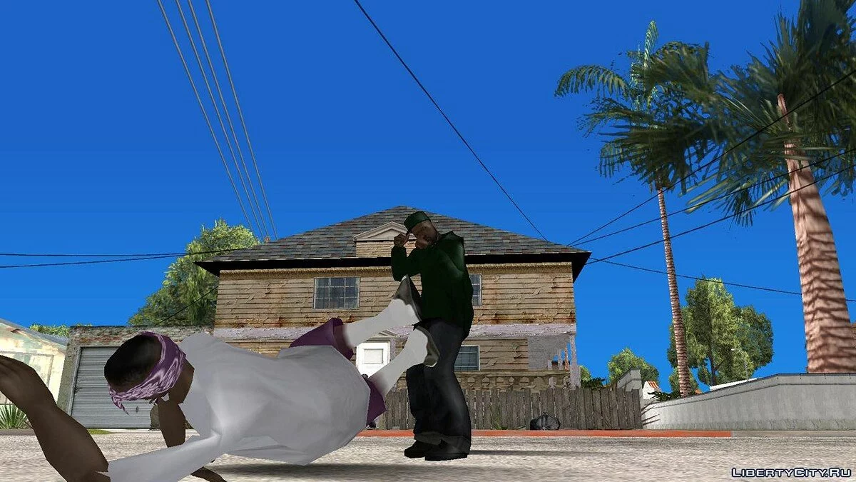 Sweet Skins Grove / GTA San Andreas