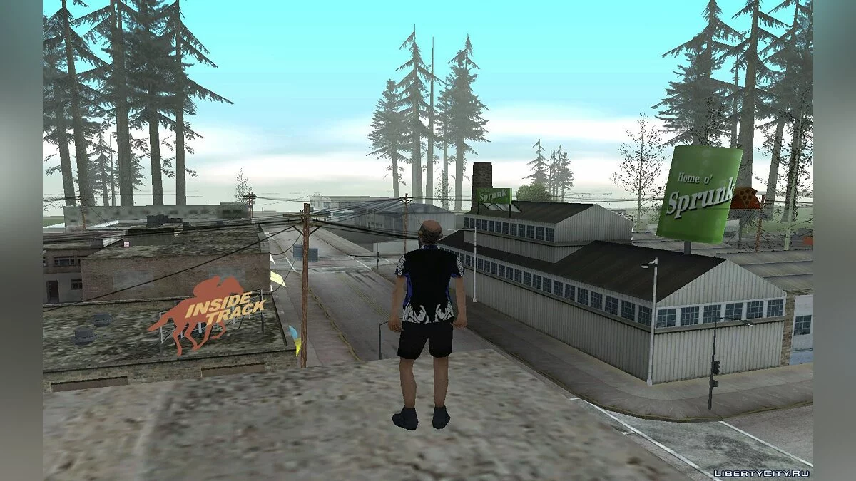 Vince / GTA San Andreas