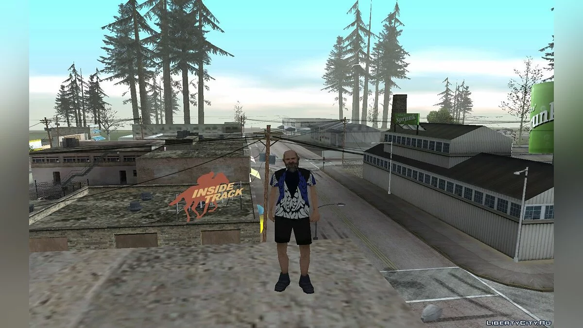 Vince / GTA San Andreas