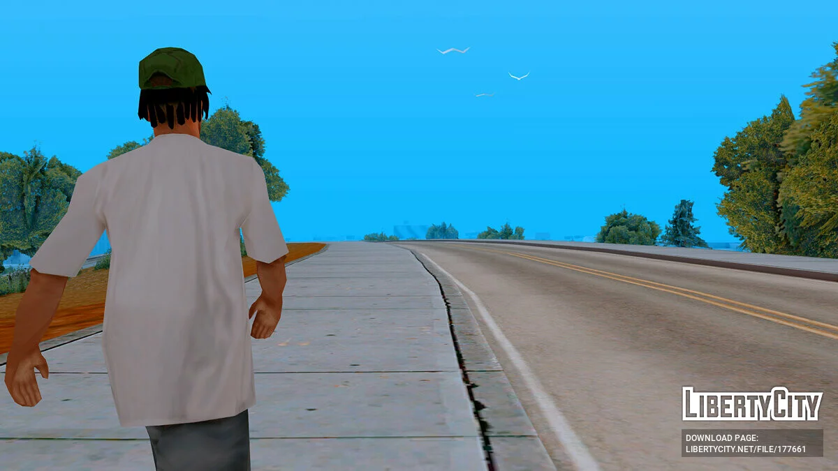 Novo membro da gangue Grove Street / GTA San Andreas