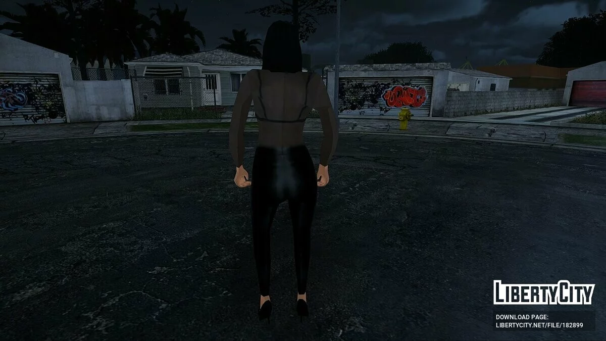 SA风格的女孩合集 / GTA San Andreas