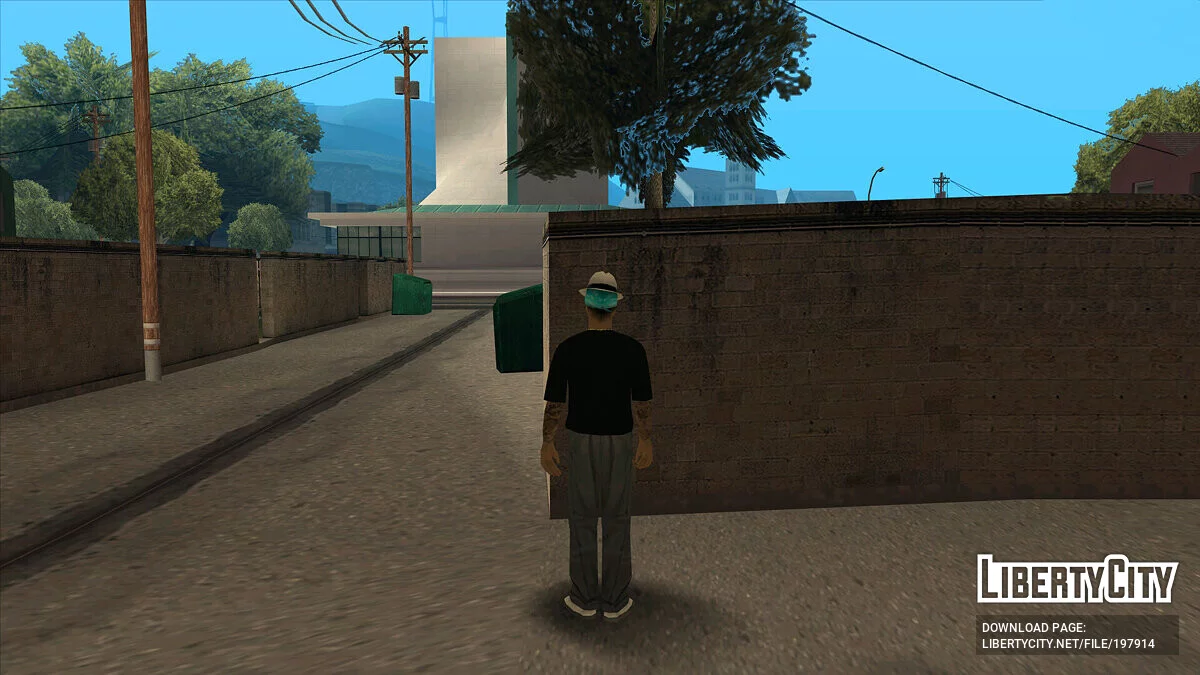 Молодые участники Сан Фиерро Рифа / GTA San Andreas