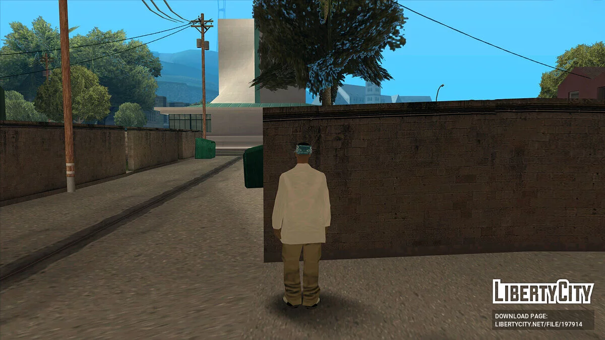 Молодые участники Сан Фиерро Рифа / GTA San Andreas