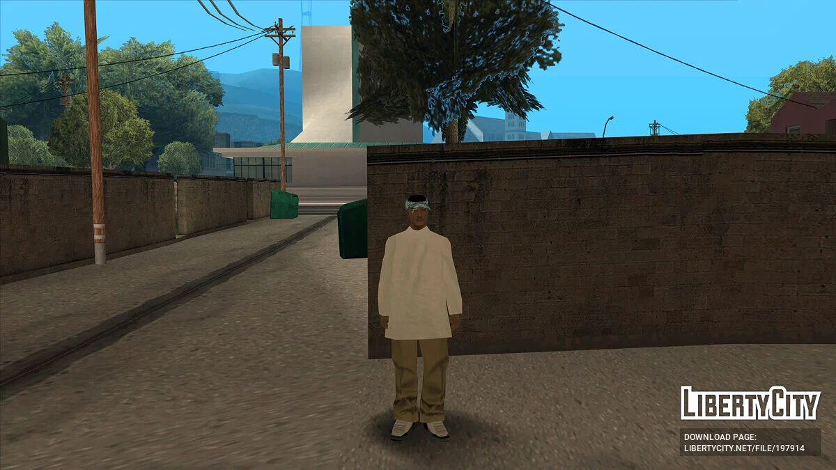 Молодые участники Сан Фиерро Рифа / GTA San Andreas