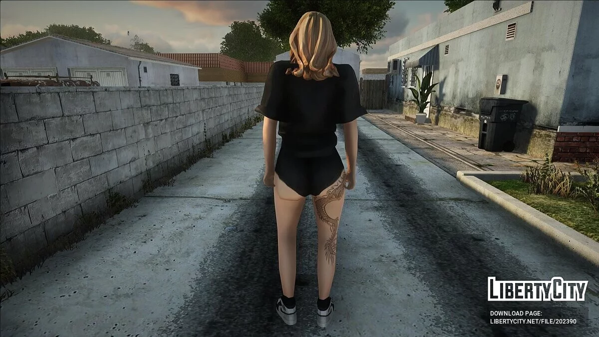 П'ять жіночих скінів / GTA San Andreas