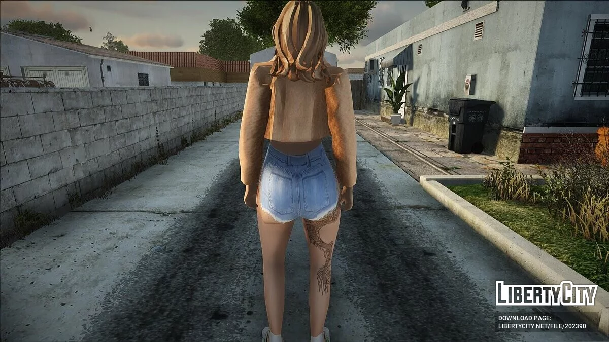 П'ять жіночих скінів / GTA San Andreas