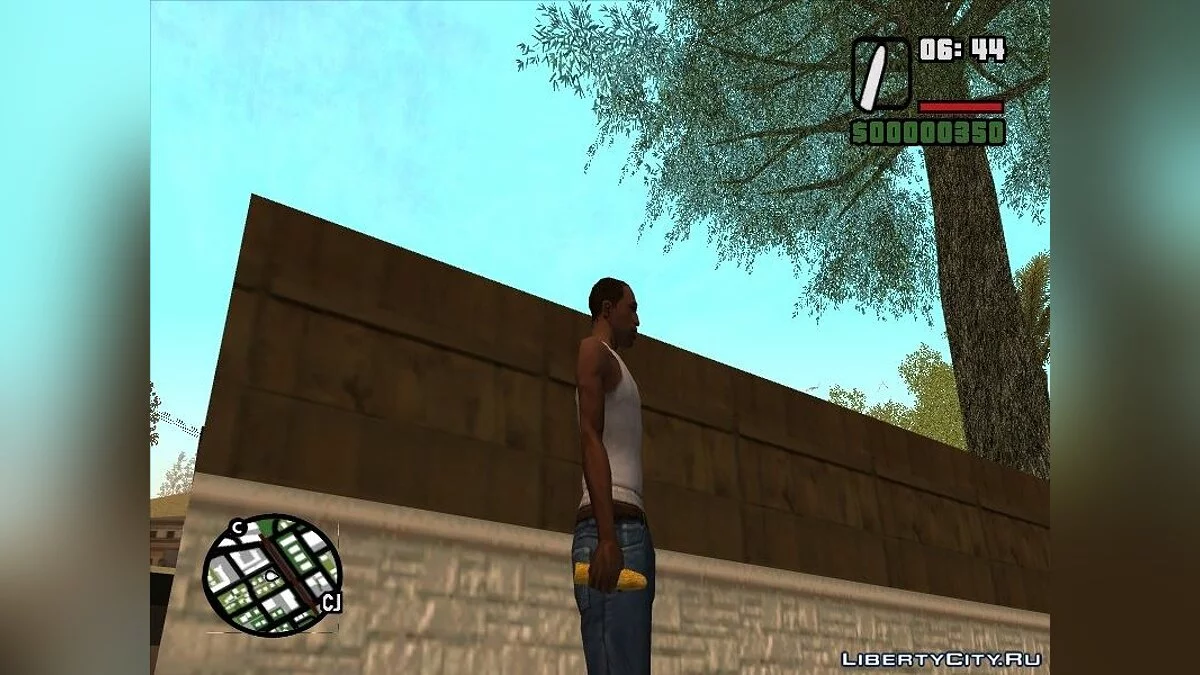 Set of intimate weapons / GTA San Andreas