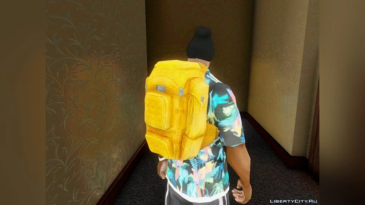 Backpack from State of Decay / GTA San Andreas