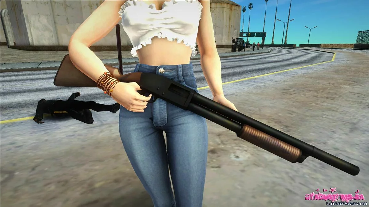 Pequeño paquete de armas / GTA San Andreas