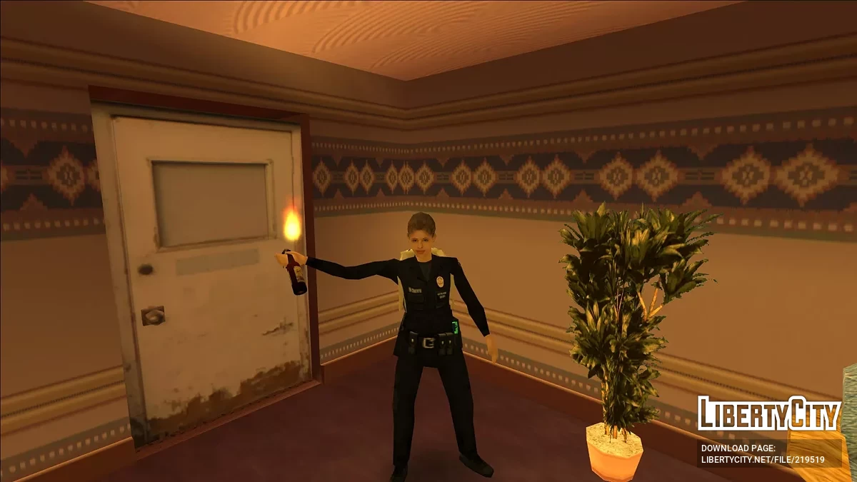L4D2 Extended Items Skins Pack / GTA San Andreas