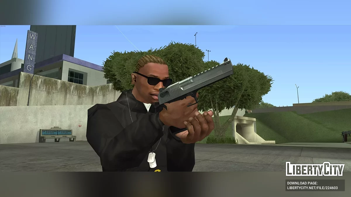 沉浸式武器包 / GTA San Andreas