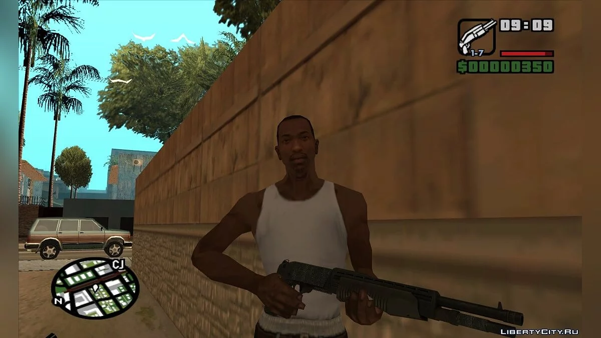ShotGun / GTA San Andreas
