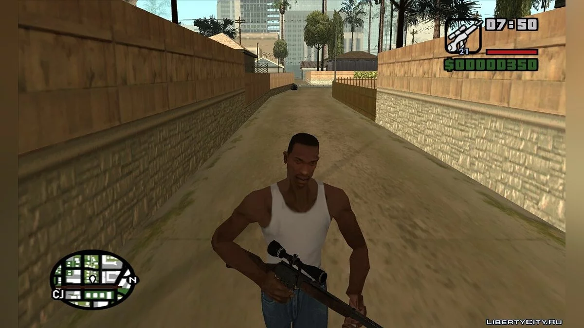 SnipeRifle / GTA San Andreas