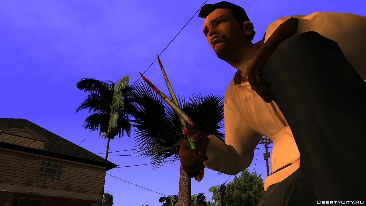 Ciseaux ensanglantés / GTA San Andreas