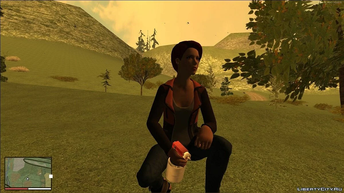 Pistol Cat Paint / GTA San Andreas