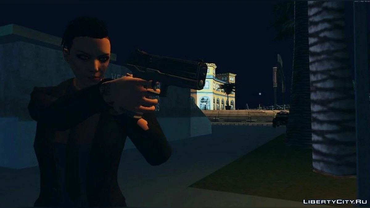 Pistol dari game Call Of Duty: Black Ops 4 / GTA San Andreas