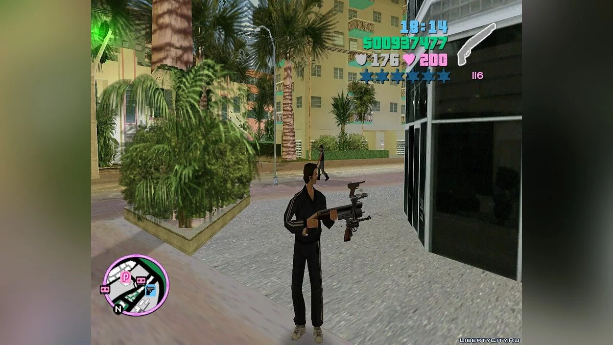 Five weapons in one / GTA Vice City